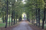 Lindenallee mit Blick zur Fürstengruft© MDM