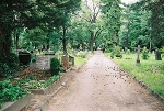 Friedhofsweg© MDM