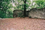 Ruine Blick nach Norden© MDM