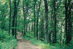 Straße Blick nach Norden© MDM