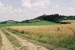 Wachsenburg Blick nach Nordosten© MDM