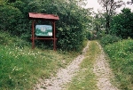 Weg zur Ruine Blick nach Süden© MDM