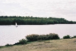 Kulkwitzer See, Strand Lausen, Blick zum Waldgebiet© MDM