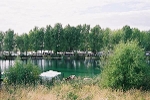 Kulkwitzer See, Strand Lausen, Blick zur Lausener Bucht© MDM