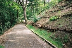 Rosental, Weg zum Rosentalturm© MDM/Claudia Weinreich