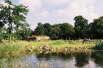 Rosental, Zooschaufenster, Blick nach Osten© MDM/Claudia Weinreich