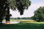 Rosental, Große Wiese, Nähe Emil-Fuchs-Str.© MDM/Claudia Weinreich