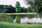 Rosental, Große Wiese, Teich, Nähe Emil-Fuchs-Str.© MDM/Claudia Weinreich