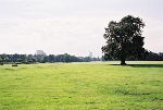 Rosental, Große Wiese, Blick nach Süden© MDM/Claudia Weinreich