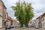 Roßlau, Elbstraße nach Nordost© MDM / Konstanze Wendt