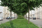 Mendelsohnstraße nach Westen© MDM / Konstanze Wendt