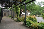 Pergola am Teehäuschen© MDM / Konstanze Wendt