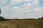 Feld bei Meuscha© MDM