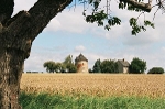 Windmühle Wildenbörten© MDM