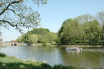 Elsterbecken zwischen Klingerbrücke und Wehr© MDM/Jana Graul