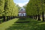 Lindenallee mit Blick zum Weiherhäuschen© MDM