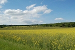 Totale Schlachtberg bei Bad Frankenhausen© MDM / Bea Wölfling