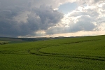 Felder bei Rottleben© MDM / Bea Wölfling