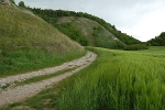 Ochsenburg bei Steinthaleben© MDM / Bea Wölfling