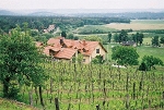 Blick vom Weinberg zum Wohnhaus Richtung Süden© MDM