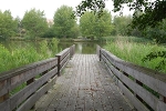 Bürgerpark, Schreiberteich nach Norden© MDM / Konstanze Wendt