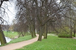 Lindenallee an der Zwickauer Mulde© MDM/Katja Seidl