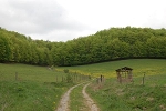 Weideland und Wälder© MDM