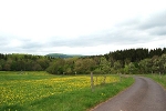 Straße von Sülzfeld nach Amalienruh / Blick zum Gebaberg© MDM