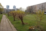 Mindener Straße, sanierter Hof, Blick nach Osten© MDM / Konstanze Wendt