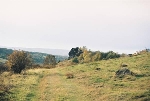 Feldweg zum Kleinen Gegenstein nach Westen© MDM / Konstanze Wendt