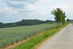 Blick auf die Konradsburg nach Osten© MDM / Konstanze Wendt