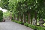 Allee mit Putten und Löwenskulptur nach Südwest© MDM / Konstanze Wendt