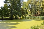 Stadtpark mit Teich© MDM/Katja Seidl