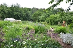 Bauerngarten© MDM/Katja Seidl