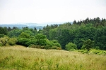 Blick vom Anfahrtweg ins Vogtland© MDM/Katja Seidl