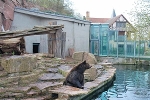 ehemalige Bärenanlage (heute Berberaffen)© MDM / Konstanze Wendt