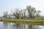 Mulde, Blick vom Roten Ufer auf das gegenüberliegende Ufer© MDM/Katja Seidl