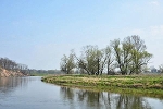 Mulde, Blick vom Roten Ufer flussaufwärts© MDM/Katja Seidl