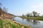 Mulde, Blick vom Roten Ufer flussaufwärts© MDM/Katja Seidl