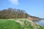 Mulde, Blick vom Roten Ufer flussaufwärts© MDM/Katja Seidl