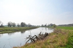 Mulde, Blick vom Roten Ufer flussabwärts© MDM/Katja Seidl