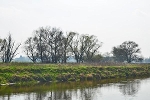 Mulde, Blick vom Roten Ufer flussabwärts© MDM/Katja Seidl