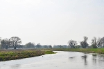 Mulde, Blick vom Roten Ufer flussabwärts© MDM/Katja Seidl