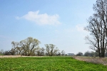 Mulde, beim Graben Schwemsal, Landesgrenze Sachsen/Sachsen-Anhalt© MDM/Katja Seidl