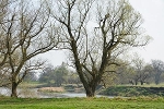 Mulde, beim Graben Schwemsal, Landesgrenze Sachsen/Sachsen-Anhalt© MDM/Katja Seidl