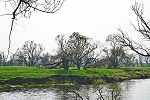 Mulde, beim Graben Schwemsal, Landesgrenze Sachsen/Sachsen-Anhalt© MDM/Katja Seidl