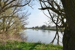 Mulde, beim Graben Schwemsal, Landesgrenze Sachsen/Sachsen-Anhalt© MDM/Katja Seidl