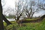 Mulde, beim Graben Schwemsal, Landesgrenze Sachsen/Sachsen-Anhalt© MDM/Katja Seidl