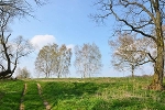 Mulde, beim Graben Schwemsal, Landesgrenze Sachsen/Sachsen-Anhalt© MDM/Katja Seidl