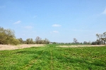 Mulde, beim Graben Schwemsal, Landesgrenze Sachsen/Sachsen-Anhalt© MDM/Katja Seidl